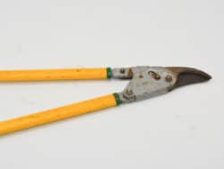 Vintage yellow pruning shears with ergonomic grips, perfect for stylish and precise gardening tasks.