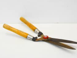 Classic vintage garden shears with wooden handles for precision pruning and gardening tasks.