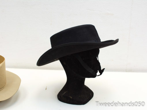 Elegant black and beige hats showcasing versatile styles for any fashion-forward occasion.