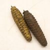 Elegant gold and dark brown pine cone decor adds sophistication to any interior.