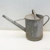 Vintage metal watering can, perfectly blending rustic charm and functionality for your garden.