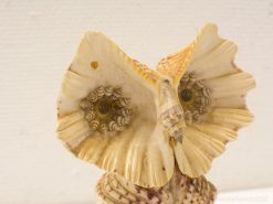 Whimsical seashell owl sculpture showcasing natural beauty and artistic craftsmanship in soft beige hues.