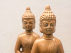 High-quality dual Buddha statues embodying serenity, perfect for meditation and calming spaces.