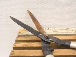 Vintage garden shears, ideal for pruning and maintenance, blend functionality with nostalgic charm.