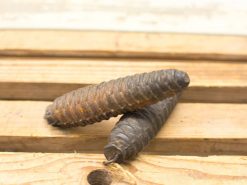 Rustic pine cones on weathered wood surface, perfect for vintage decor and natural warmth.