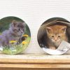 Charming decorative plates featuring playful kittens, perfect for animal lovers and home decor.