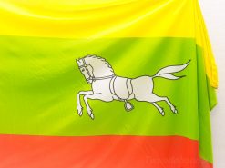 Vibrant flag featuring a leaping white horse over green, yellow, and red backgrounds.