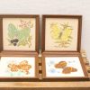 Charming vintage butterfly embroidery collection in wooden frames, perfect for elegant home decor.