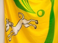 Playful dog flag with yellow background and green accents celebrating joy and community spirit.