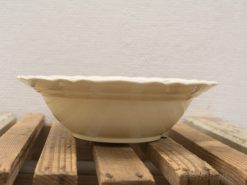 Elegant beige ceramic bowl with scalloped edge, perfect for serving salads or desserts.