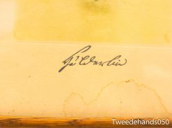 Elegant signature of F. L. Emmeli on antique paper, showcasing historical charm and artistry.