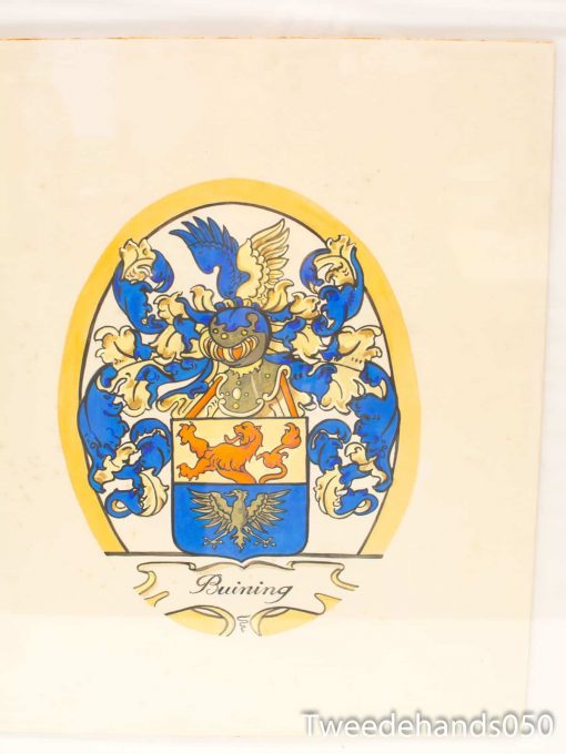 Colorful coat of arms of the Buining family featuring a lion and intricate designs.