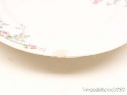 Elegant porcelain plate with pastel floral design, showcasing history and charm.