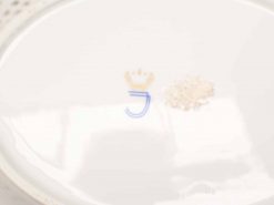 Elegant white porcelain dish with blue emblem and crown, perfect for serving or decoration.