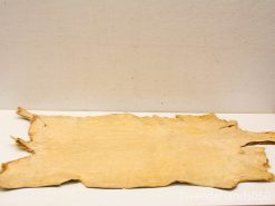 Authentic beige animal hide, showcasing natural textures, perfect for crafts or decor.