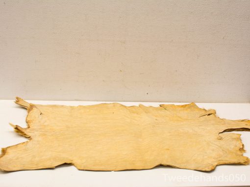 Authentic beige animal hide, showcasing natural textures, perfect for crafts or decor.