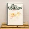 Leidende Hengsten van Nederland: Vintage book showcasing elegant stallions by Jacob Meijssen.