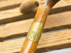 Elegant vintage walking cane with a golden medallion, showcasing craftsmanship and warmth.