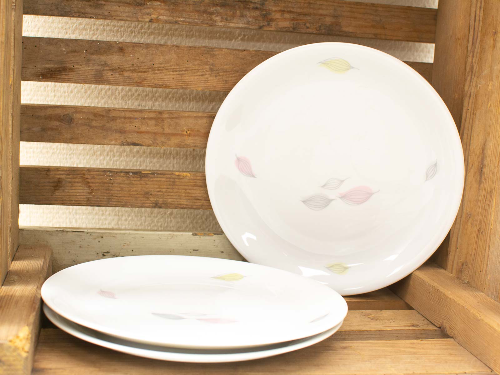 Charming wooden crate displaying elegant ceramic plates with delicate leaf designs in soft colors.