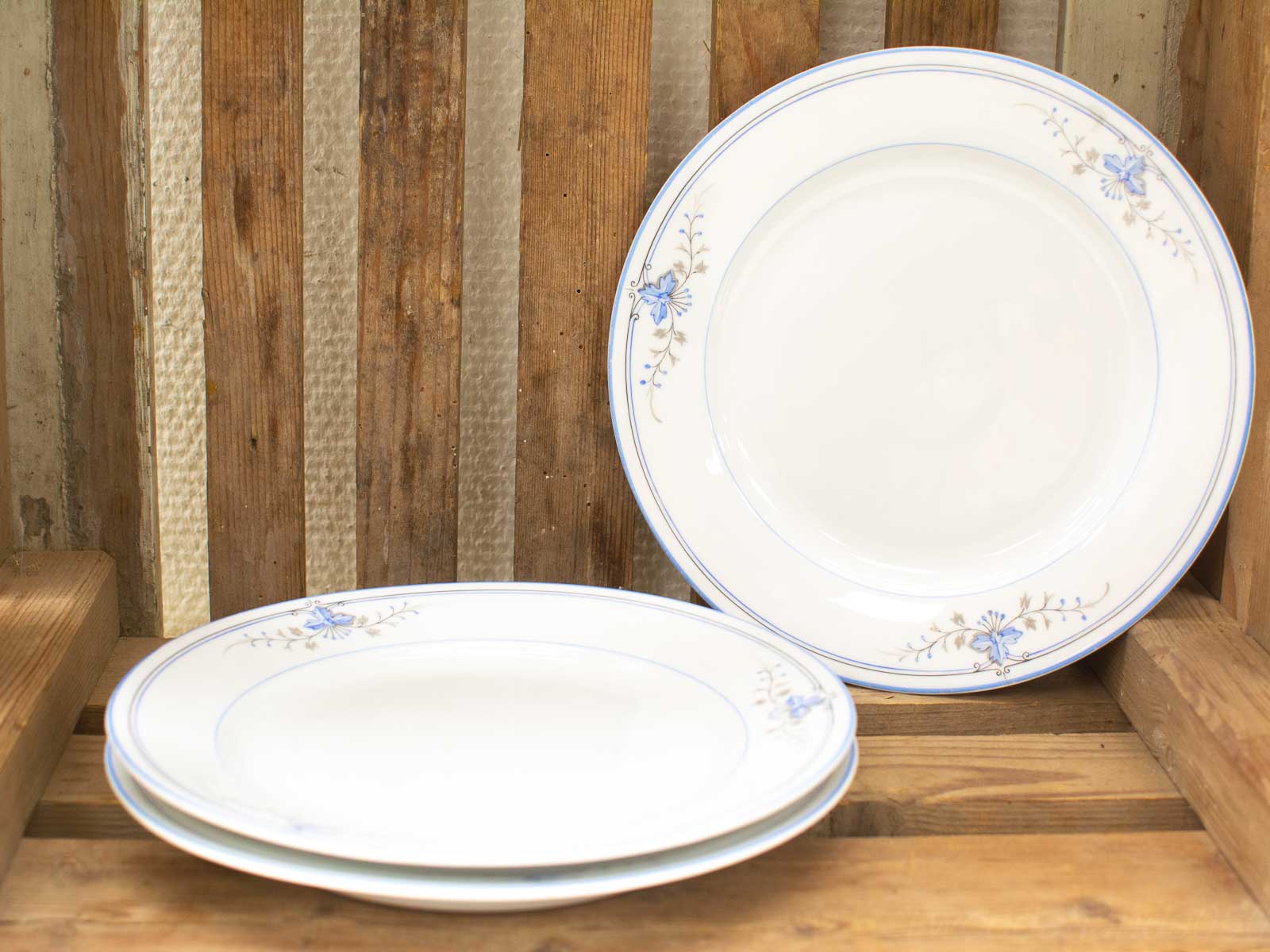 Elegant vintage porcelain plates with blue floral designs and gold accents, set against rustic wood.