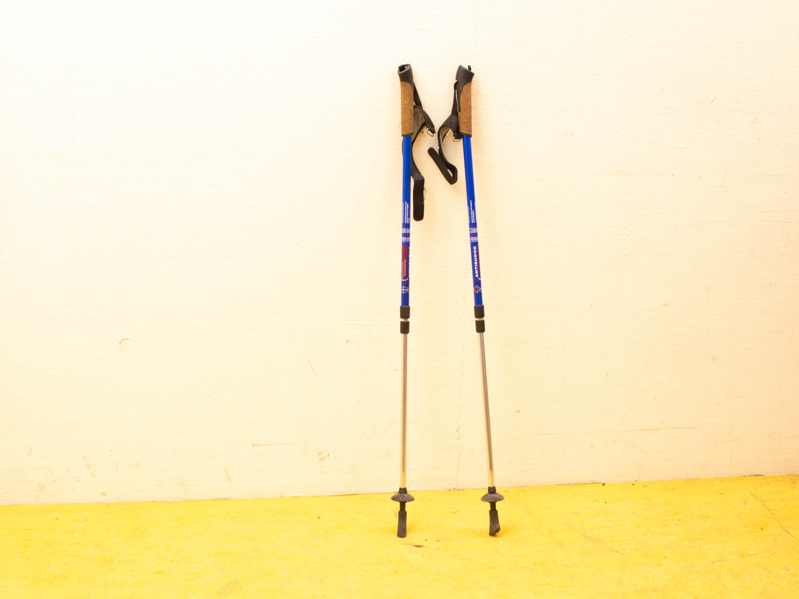 Lightweight aluminum trekking poles with cork grips and blue accents for ultimate hiking support.