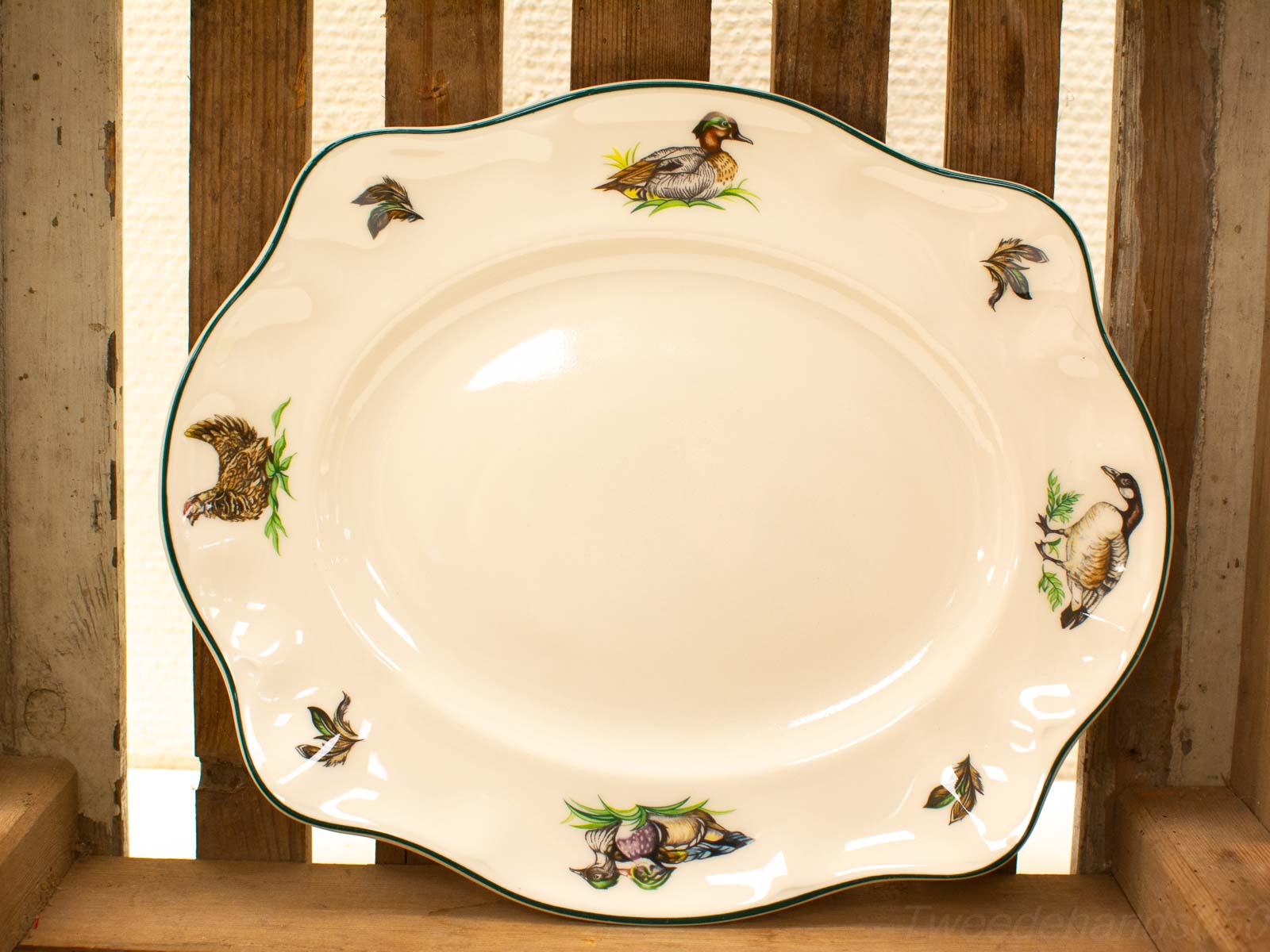 Elegant serving platter with vibrant bird illustrations and a green trim for nature-inspired decor.