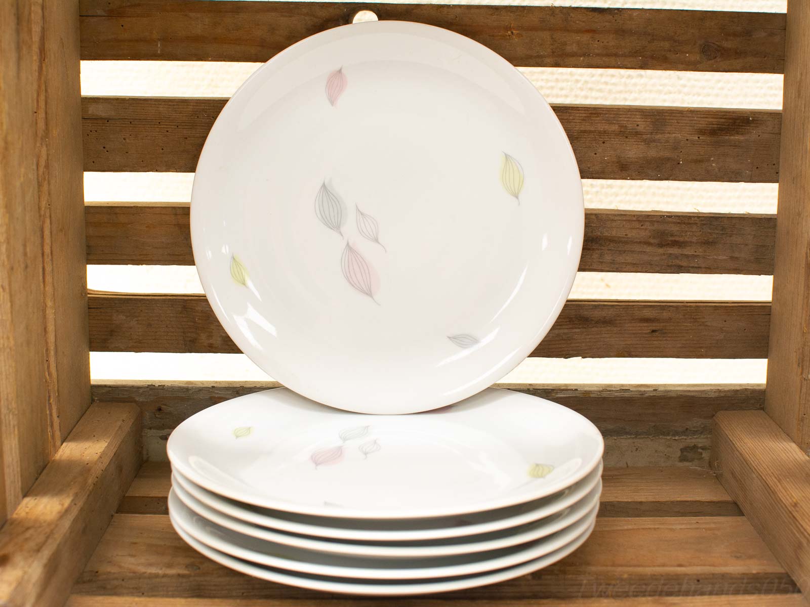 Elegant white dinner plates with pastel leaf designs, beautifully stacked in a rustic wooden crate.