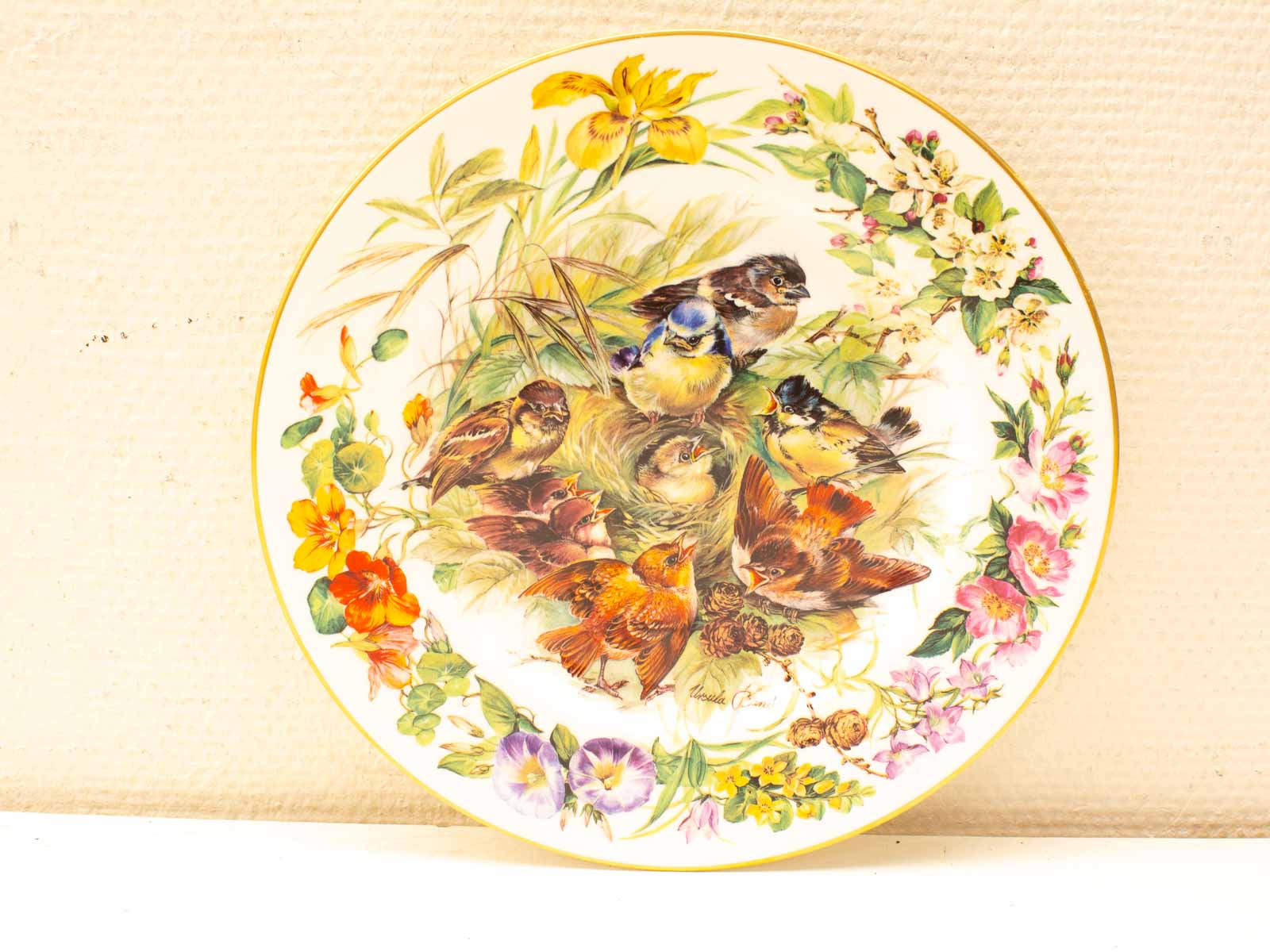 Vibrant decorative plate featuring intricately illustrated birds and flowers in a natural setting.