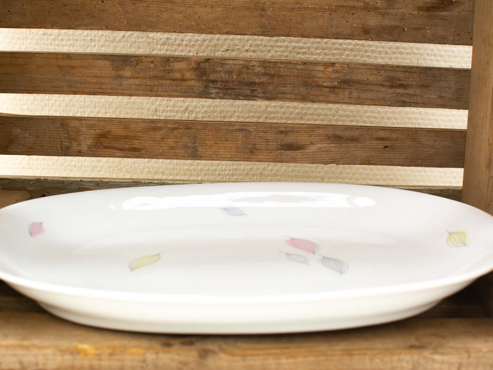 Elegant oval porcelain plate with pastel leaves on rustic wood for charming table settings.