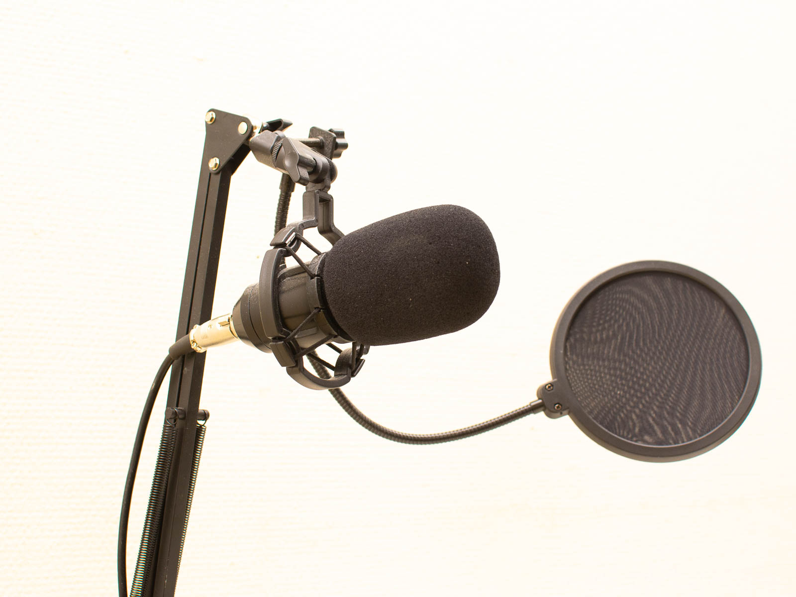 Professional microphone setup with pop filter and shock mount for high-quality audio recording.