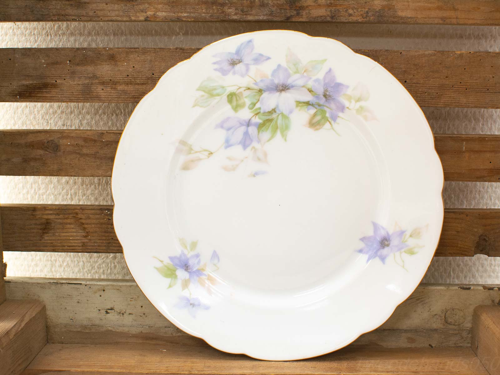 Vintage porcelain plate with blue flowers on rustic wood, perfect for collectors and decor.