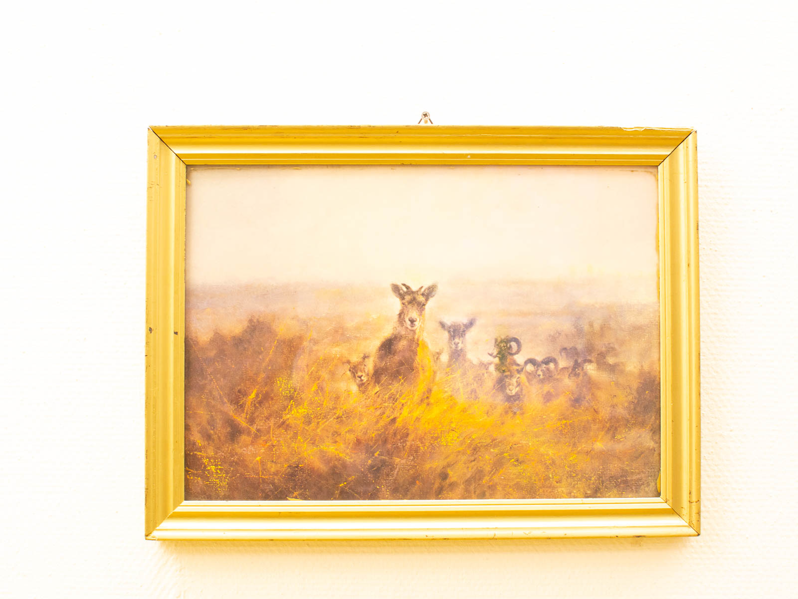 Serene deer painting in a golden frame, capturing natures beauty and tranquility.