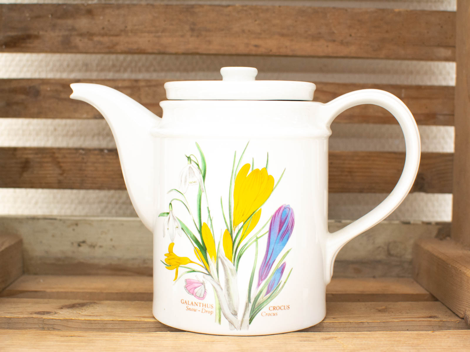 Elegant teapot with botanical illustrations of Snow-Drop and Crocus, perfect for tea lovers.