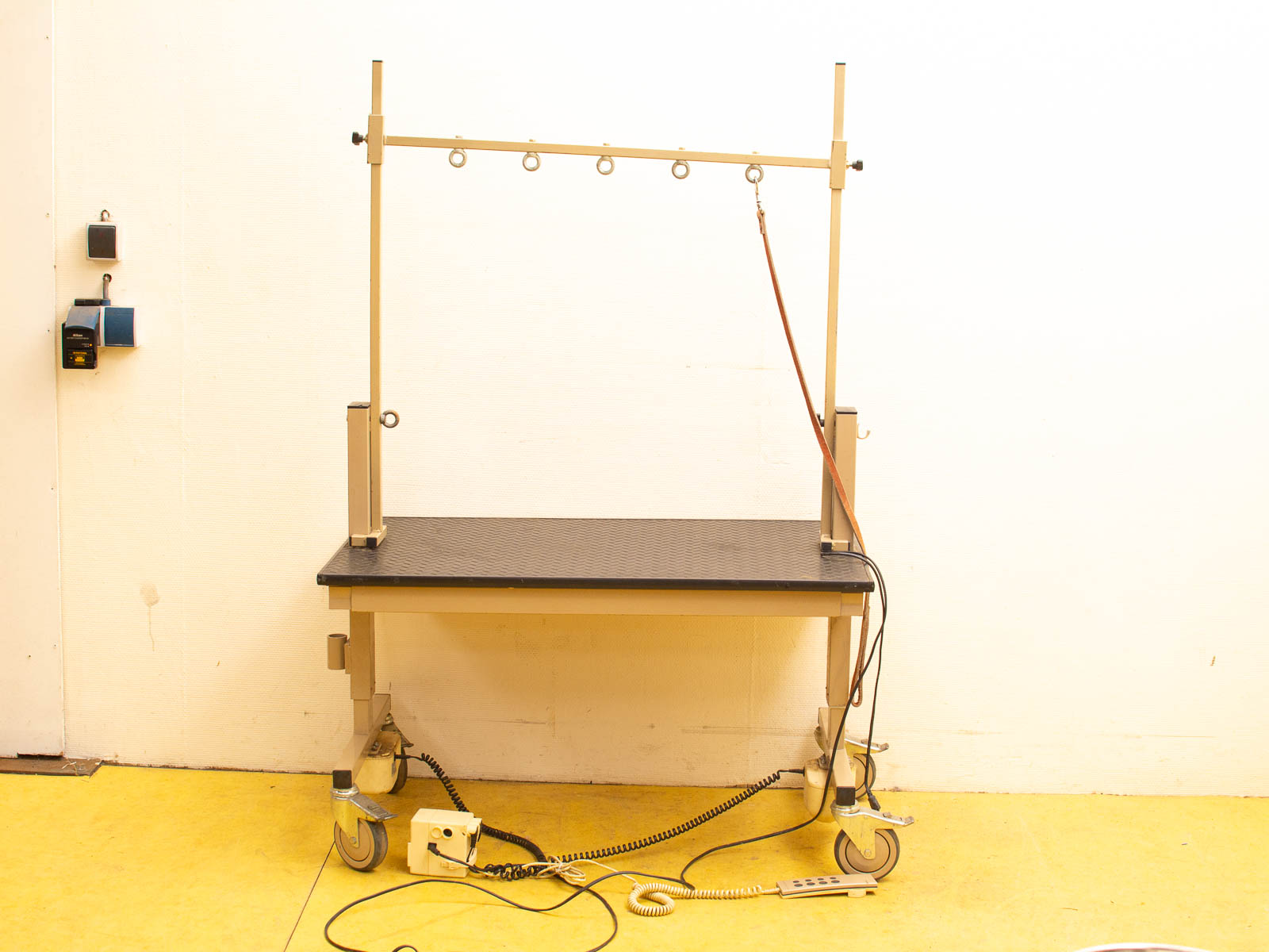 Vintage veterinary examination table with adjustable restraints for efficient animal care.