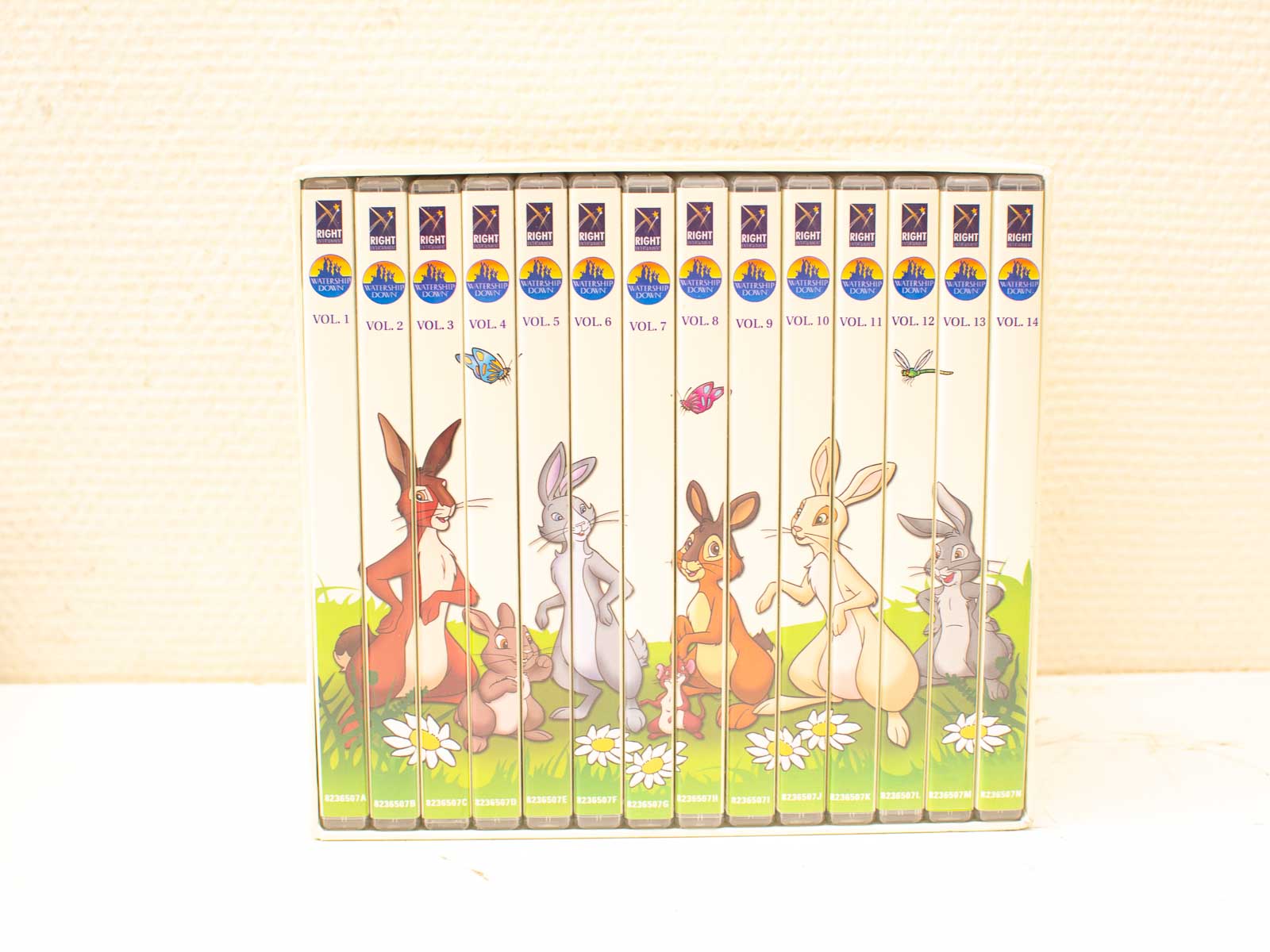 Vibrant DVD collection featuring playful rabbits, perfect for family-friendly animated story entertainment.