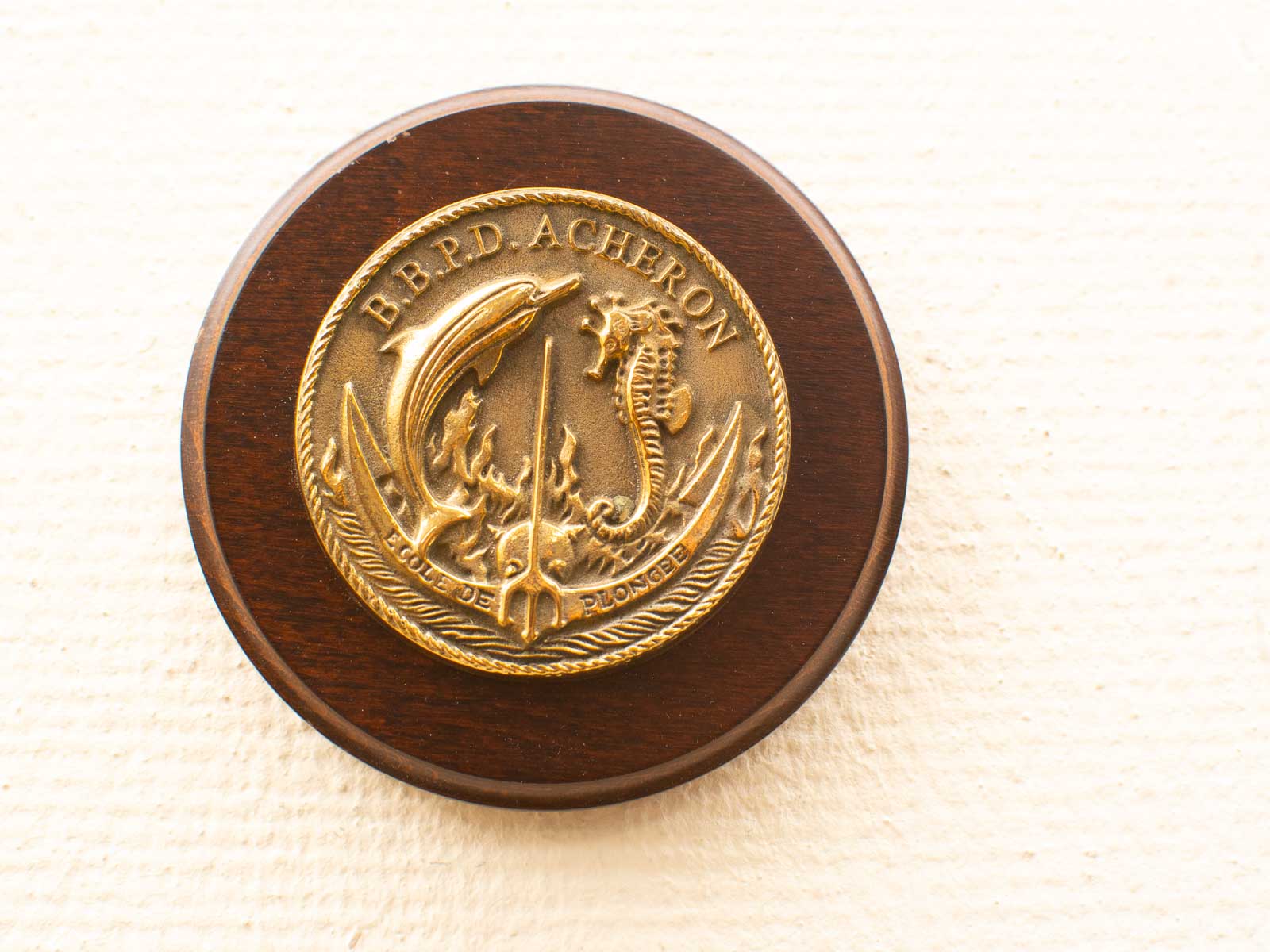 Bronze maritime discovery medal on a dark wooden plaque showcasing ocean life and exploration.