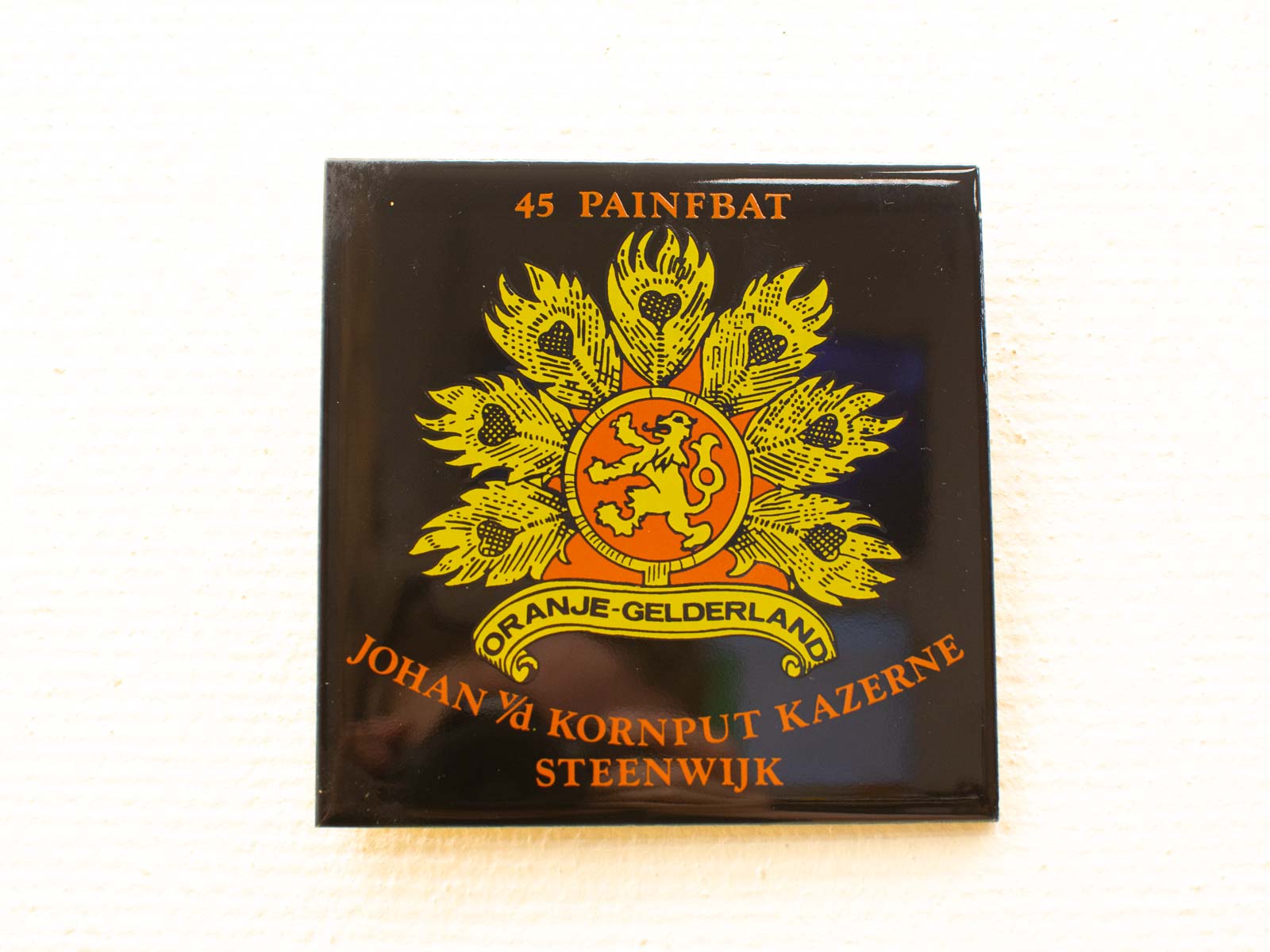 45 Painfbat emblem featuring a lion, symbolizing strength, linked to Oranje-Gelderland military heritage.