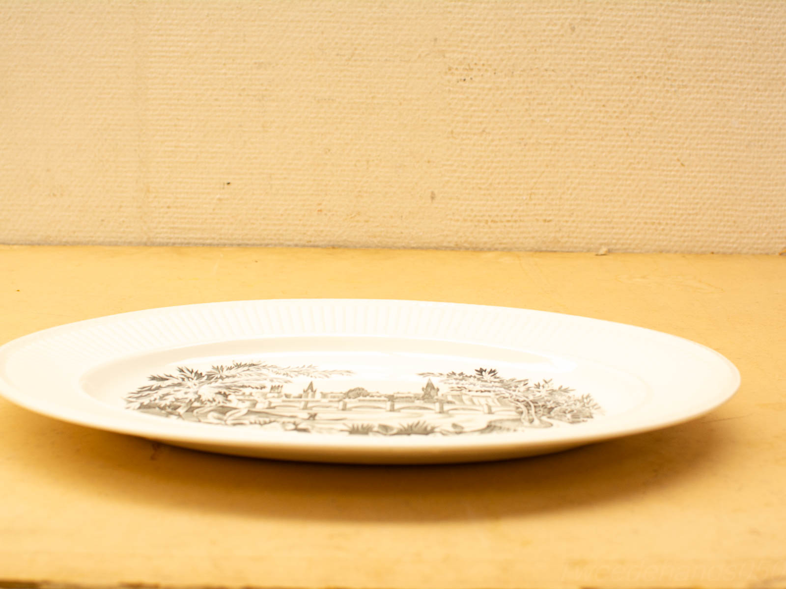 Elegant vintage oval ceramic platter with detailed landscape illustration, perfect for any dining occasion.