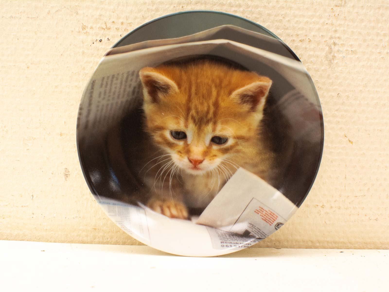 Curious orange kitten peeking from crumpled newspaper, capturing playful innocence and charm.