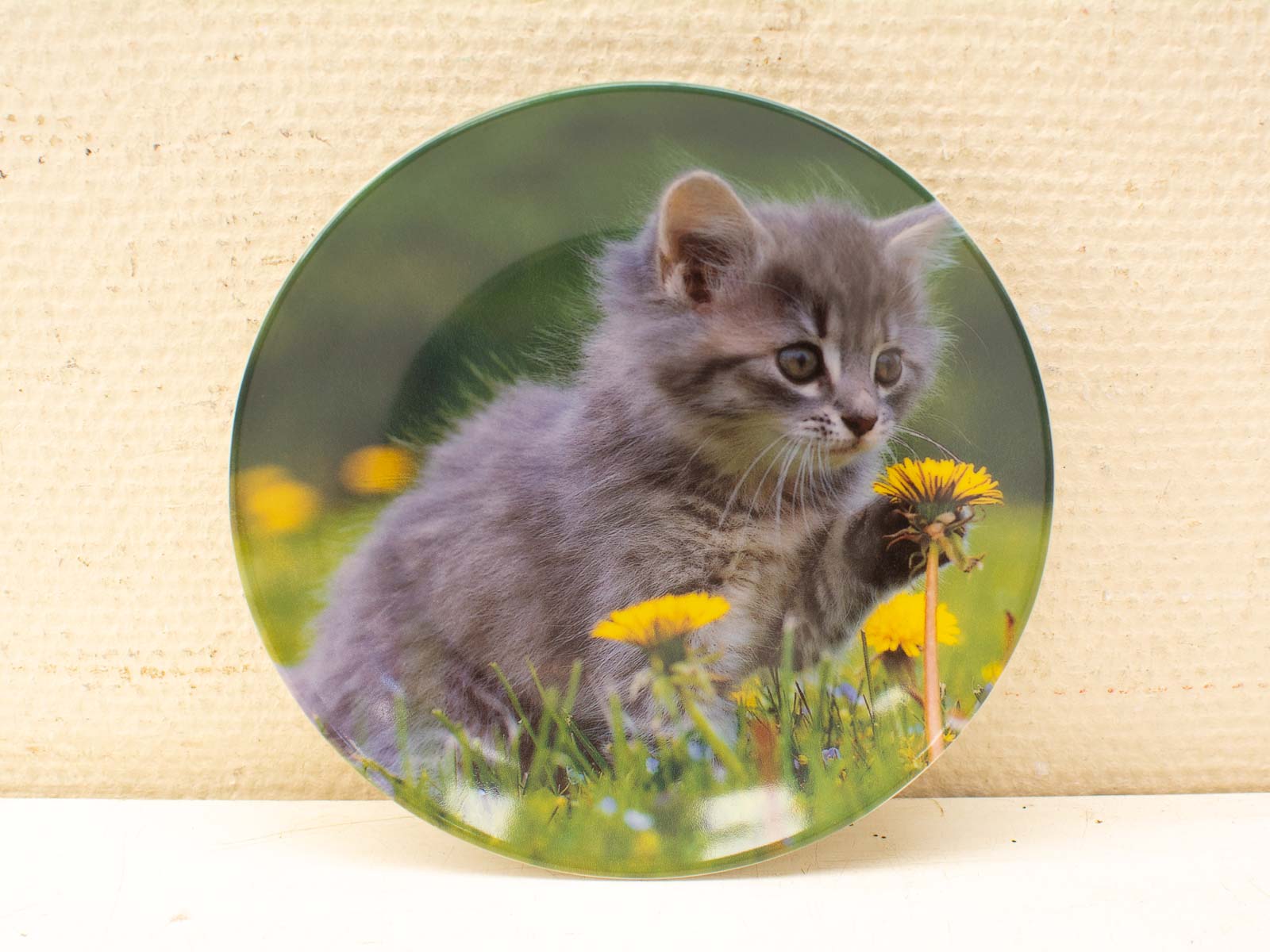 Playful gray kitten exploring dandelions in a sunny green meadow, perfect for nature lovers.