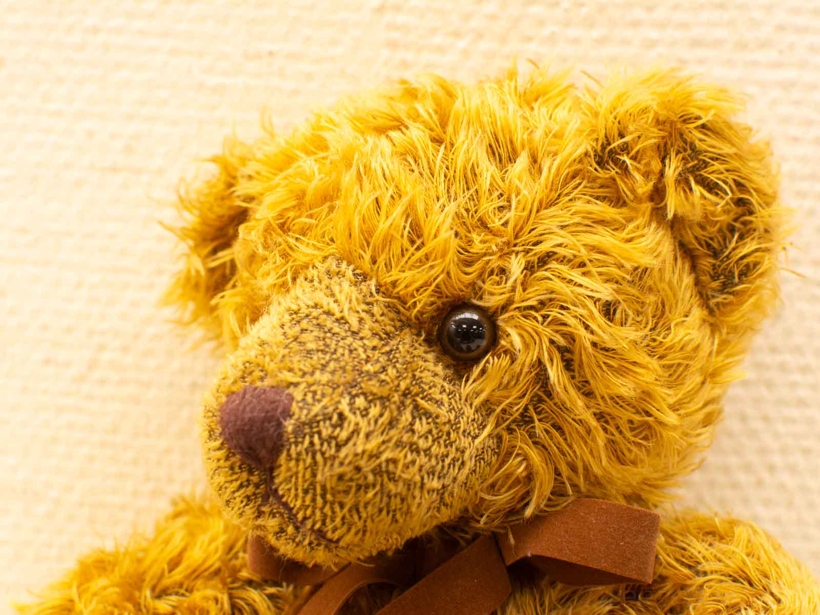 Schattige teddybeer met gouden vacht en strik, perfect voor nostalgische momenten.